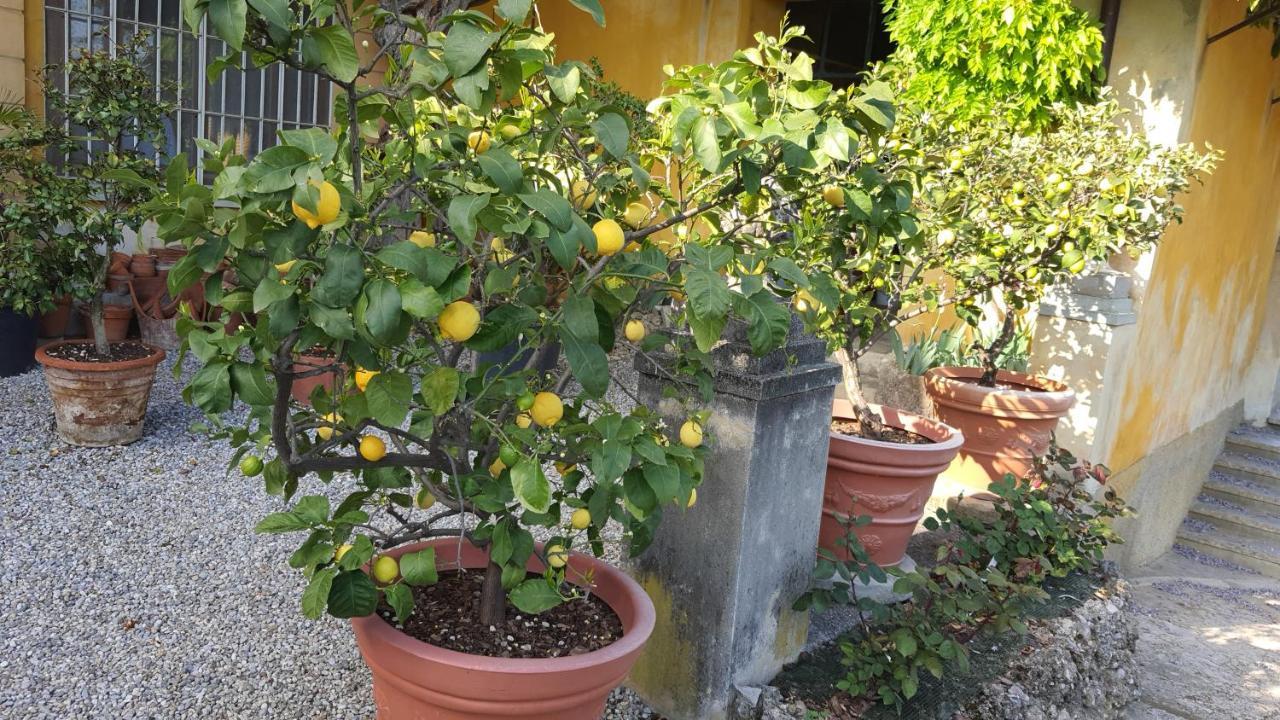 B&B Villa Sant'Anna Bergamo Exteriör bild