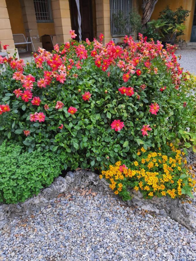 B&B Villa Sant'Anna Bergamo Exteriör bild