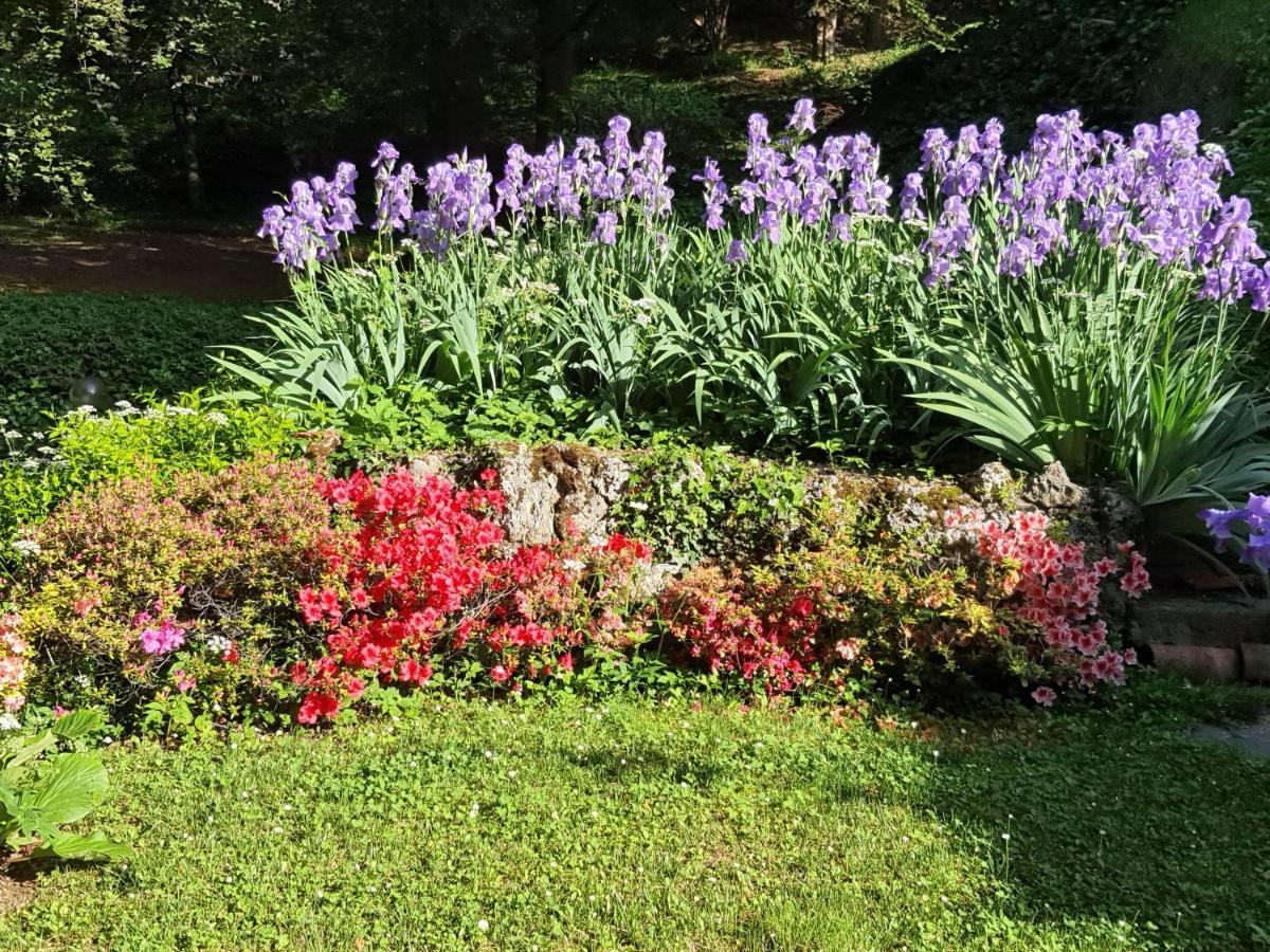 B&B Villa Sant'Anna Bergamo Exteriör bild