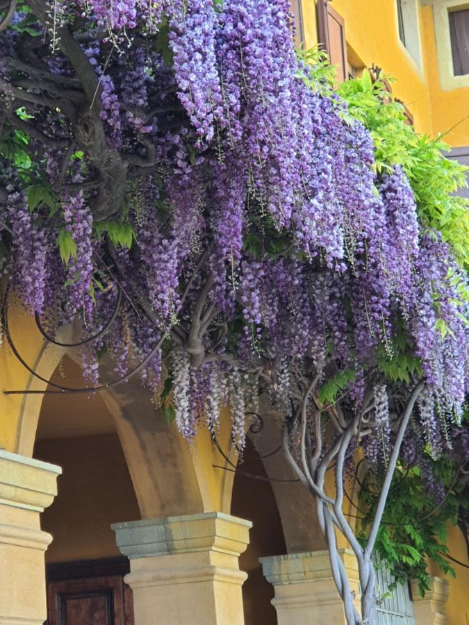 B&B Villa Sant'Anna Bergamo Exteriör bild