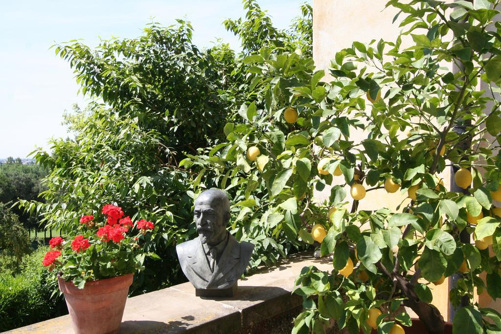 B&B Villa Sant'Anna Bergamo Exteriör bild